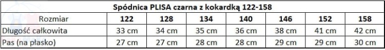 wymiary PLISA.jpg