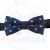BB38.jpg
